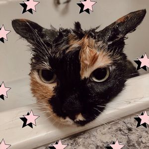 Meet your Posher, Emery